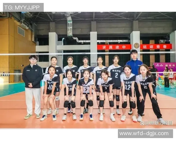 南京排球队在全国排球耐力排行榜中荣获第九名的佳绩引发关注
