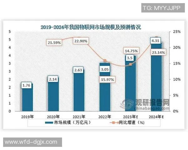 足球从业人数的增长趋势及其对行业发展的影响分析