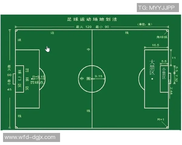 现代足球普遍化趋势分析与对各国足球发展的影响探讨